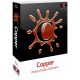Buy NCH: Copper Point of Sales (1 Device / Lifetime) in the UK – Best Price & Instant Delivery