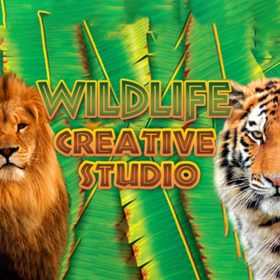 Wildlife Creative Studio (1 Device   Lifetime) (Steam)