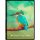 Smart Photo Editor (1 Device   Lifetime)