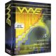 GoldWave for Windows (1 Device   1 Year)